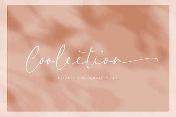 Testing Coolection: How a Script Font Shapes a Brand’s Story